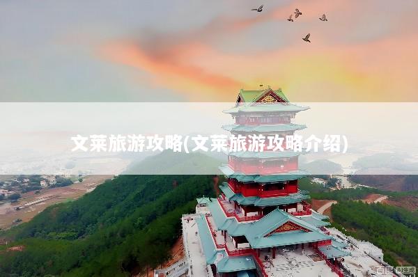 文莱旅游攻略(文莱旅游攻略介绍)